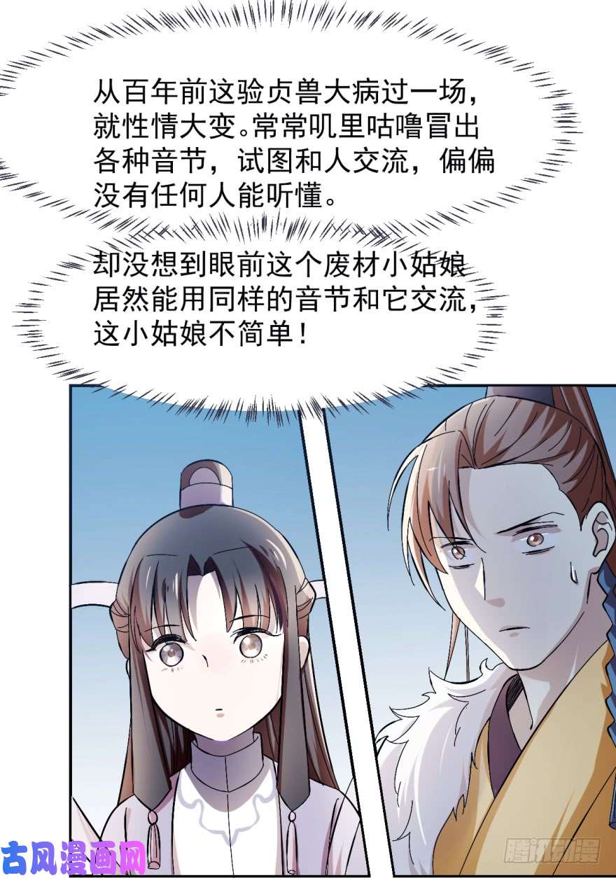 毒步天下：特工神医小兽妃03