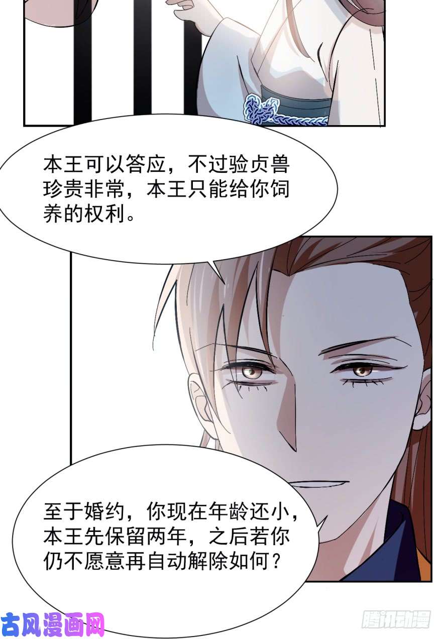 毒步天下：特工神医小兽妃03