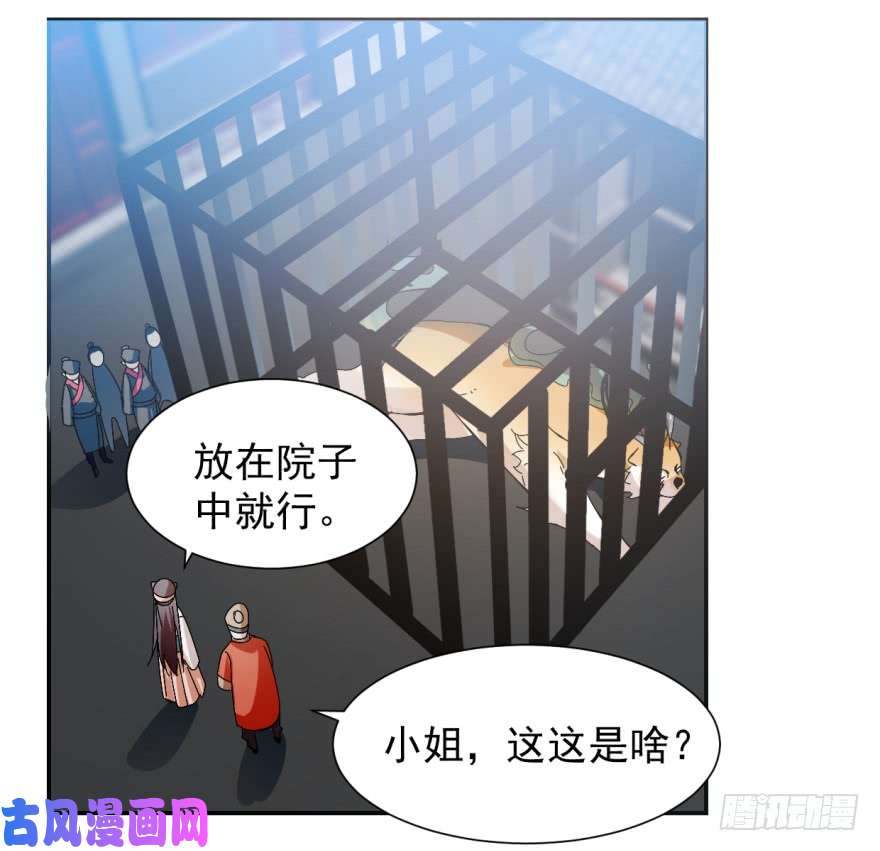 毒步天下：特工神医小兽妃03