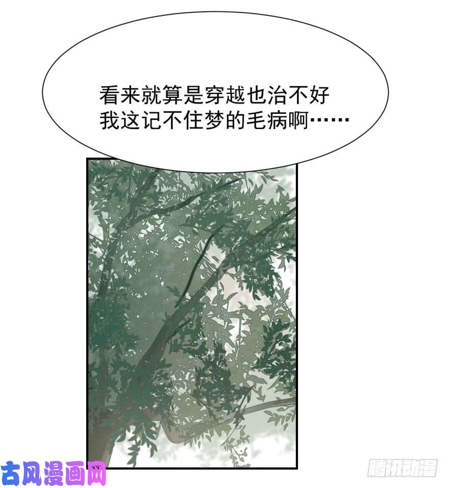 毒步天下：特工神医小兽妃04