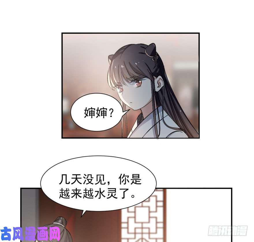 毒步天下：特工神医小兽妃04