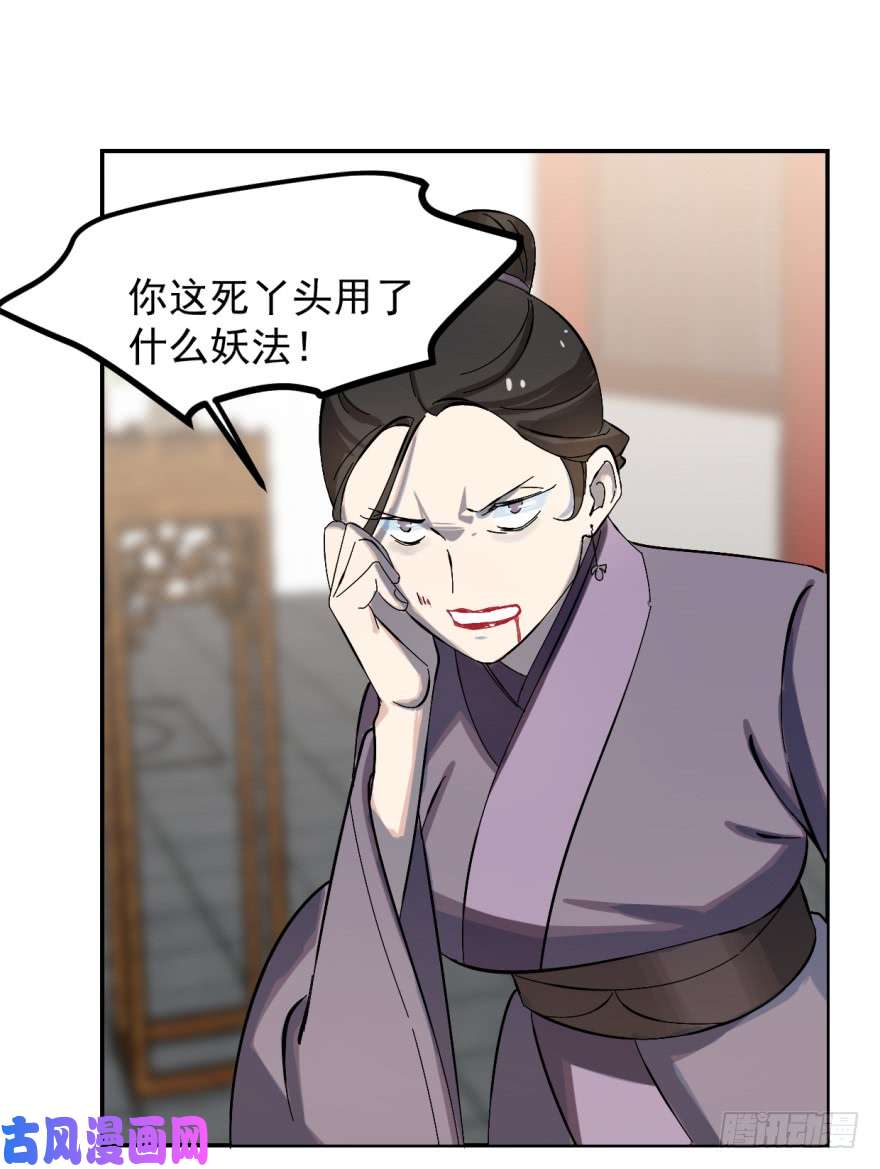 毒步天下：特工神医小兽妃04