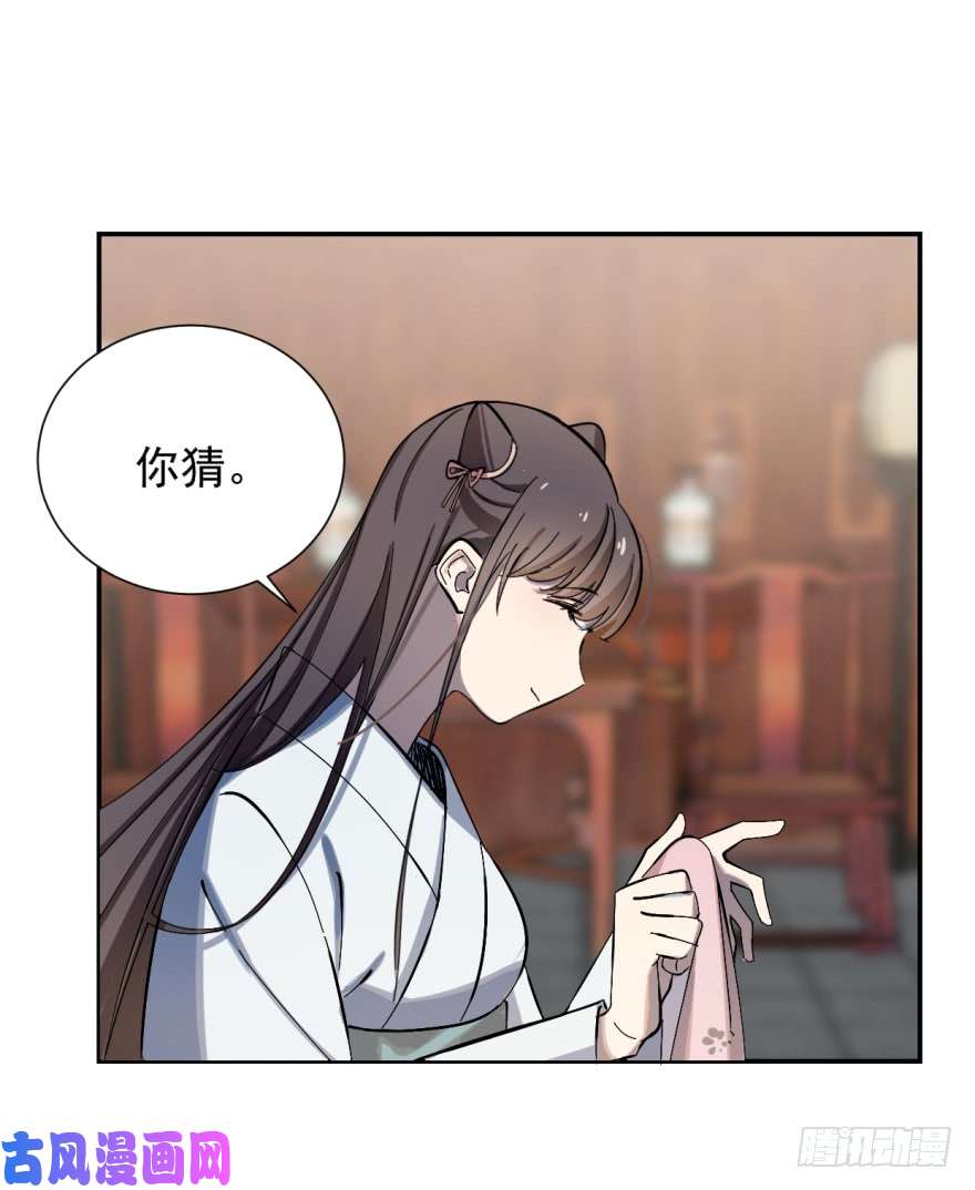 毒步天下：特工神医小兽妃04