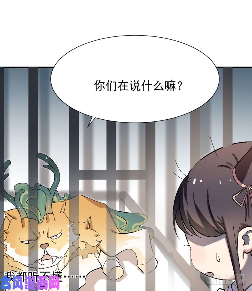 毒步天下：特工神医小兽妃04