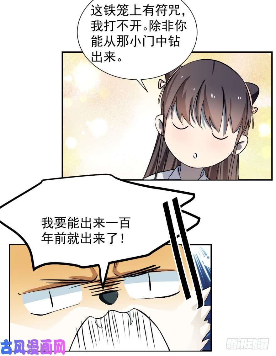 毒步天下：特工神医小兽妃04