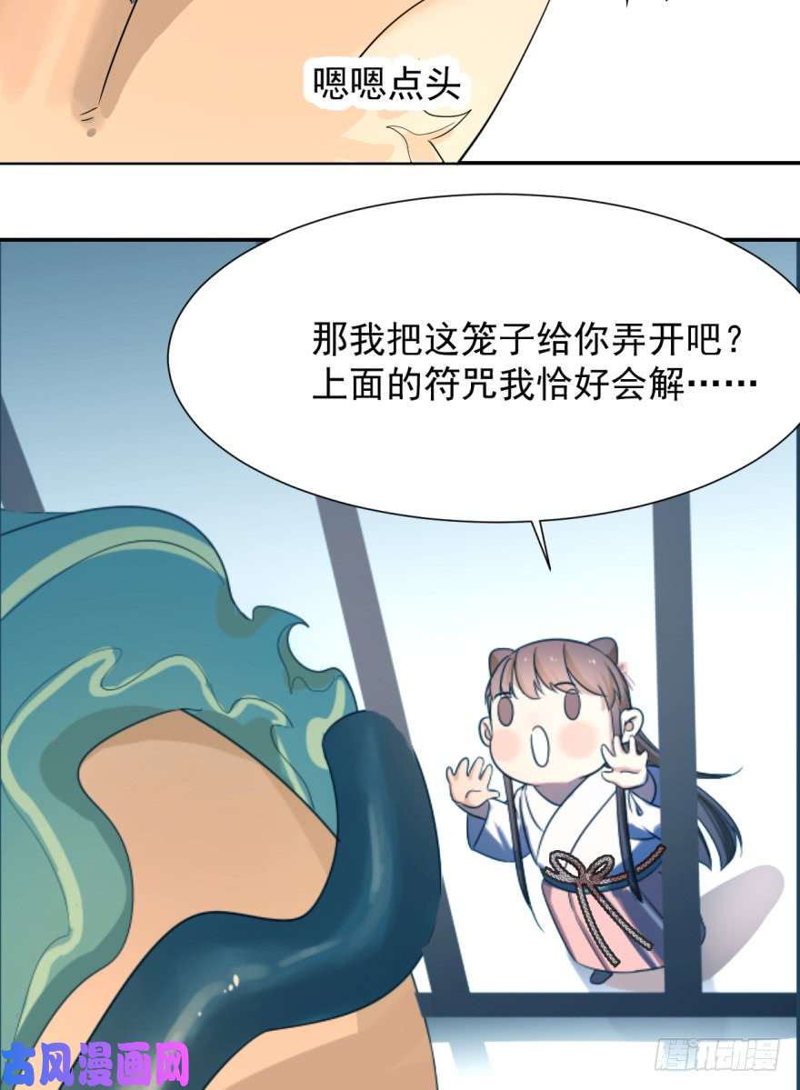 毒步天下：特工神医小兽妃05