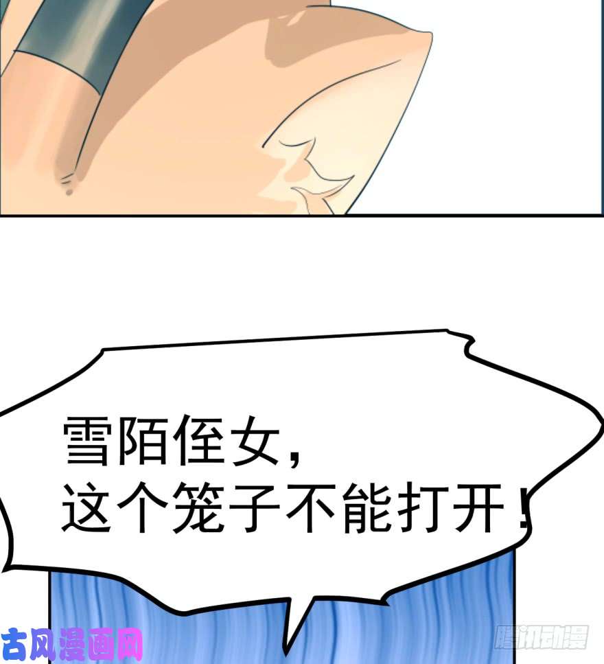 毒步天下：特工神医小兽妃05