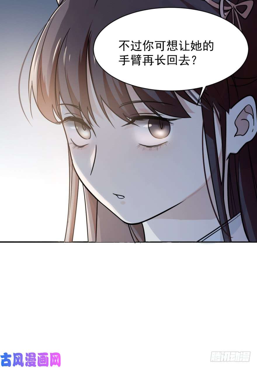 毒步天下：特工神医小兽妃06