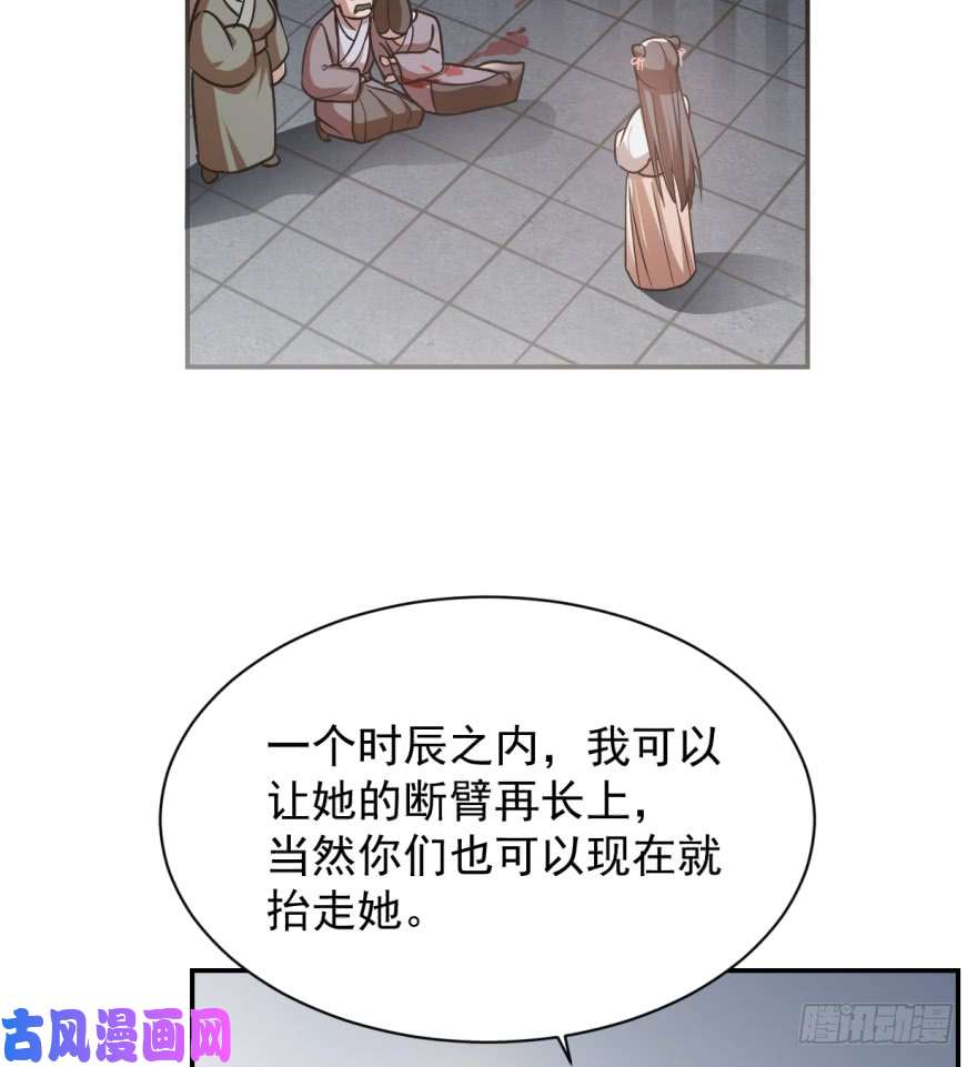 毒步天下：特工神医小兽妃06