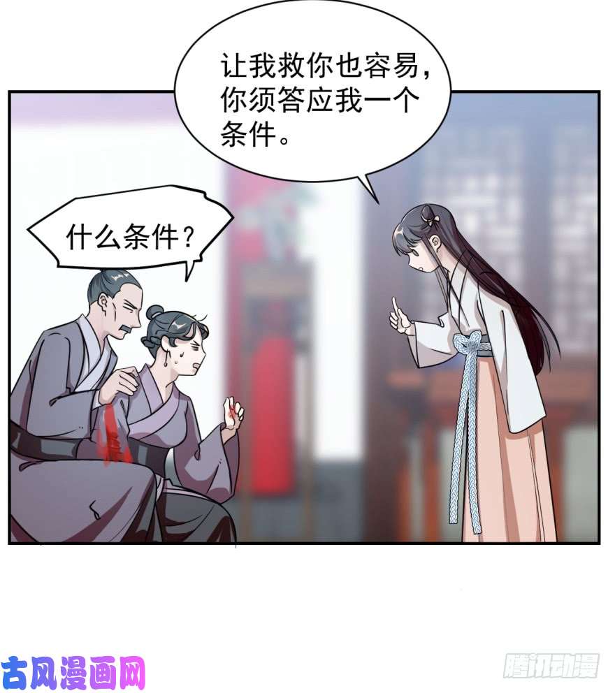 毒步天下：特工神医小兽妃06