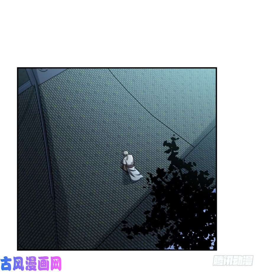 毒步天下：特工神医小兽妃06