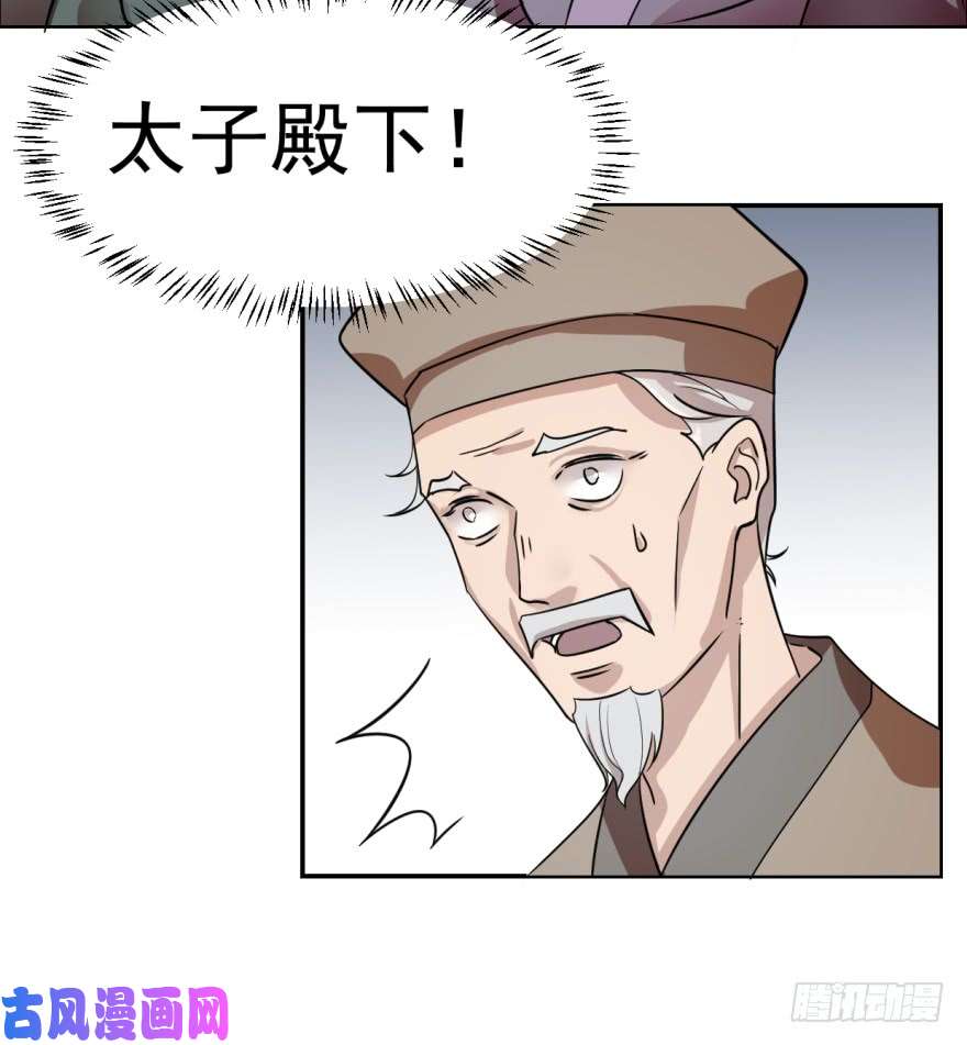 毒步天下：特工神医小兽妃06