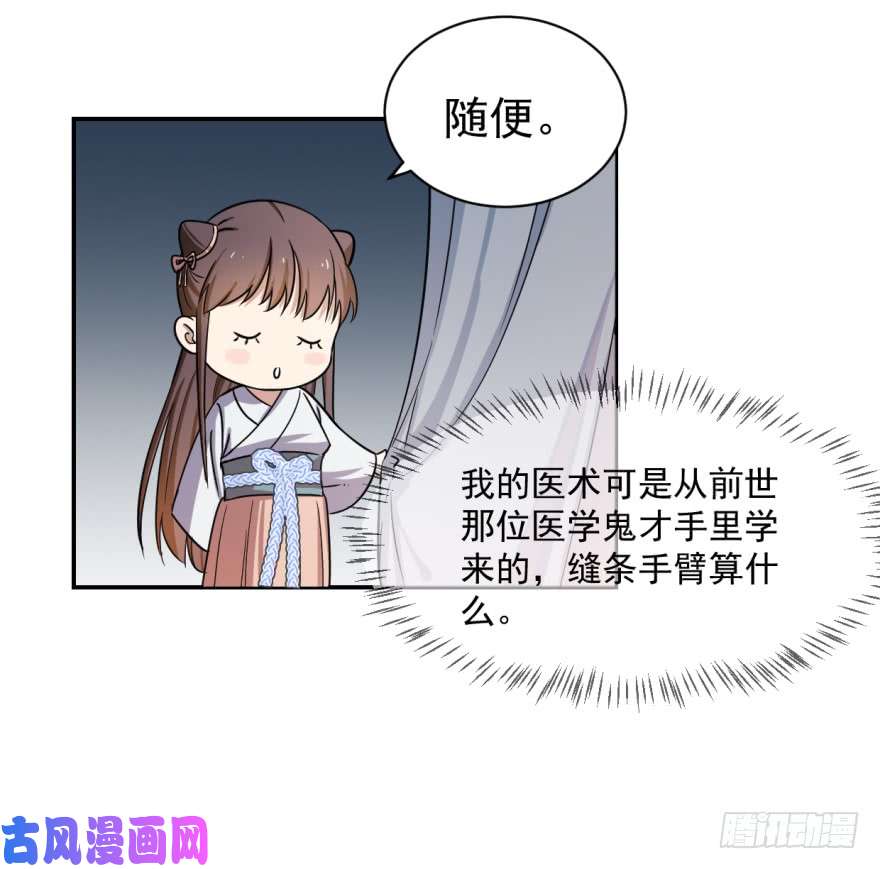 毒步天下：特工神医小兽妃07