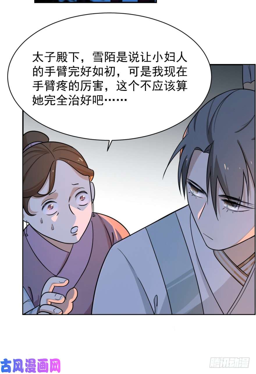 毒步天下：特工神医小兽妃07