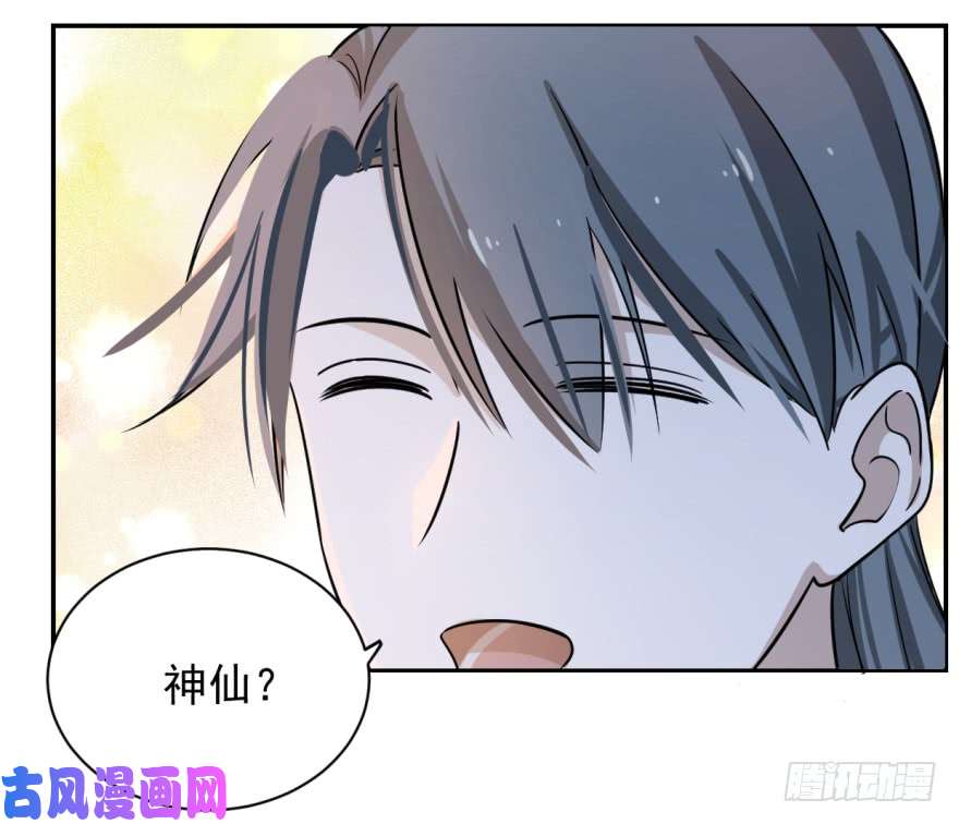 毒步天下：特工神医小兽妃07