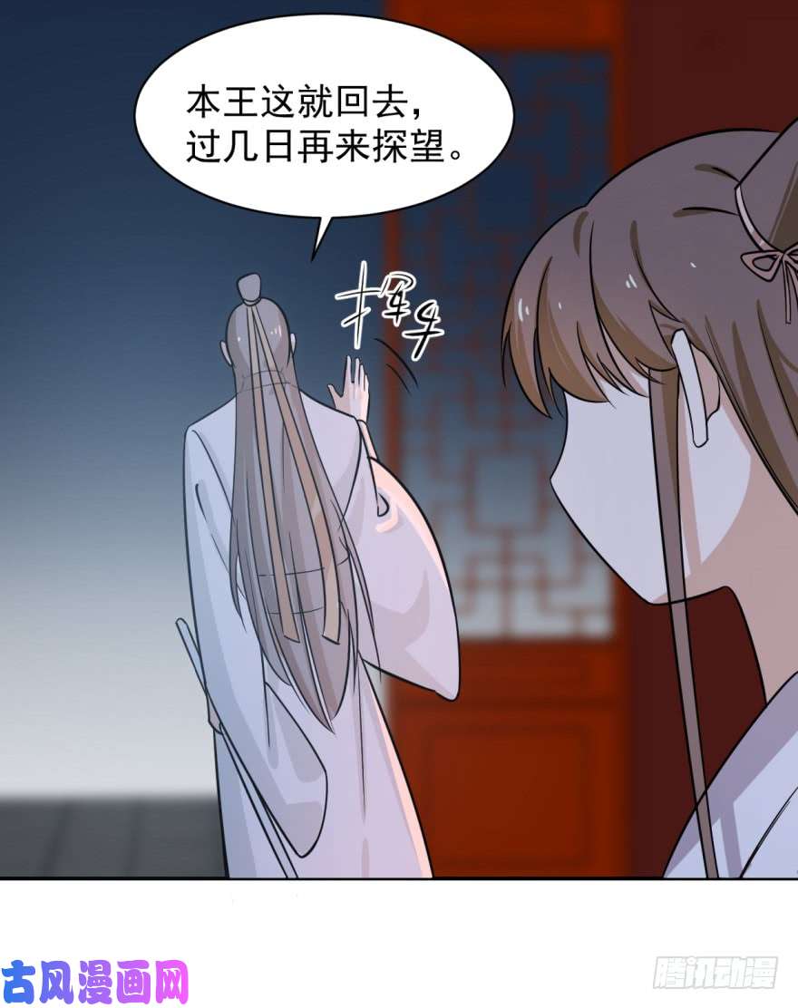 毒步天下：特工神医小兽妃07