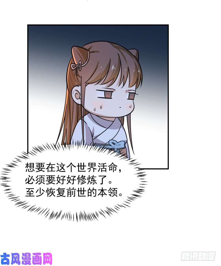 毒步天下：特工神医小兽妃07