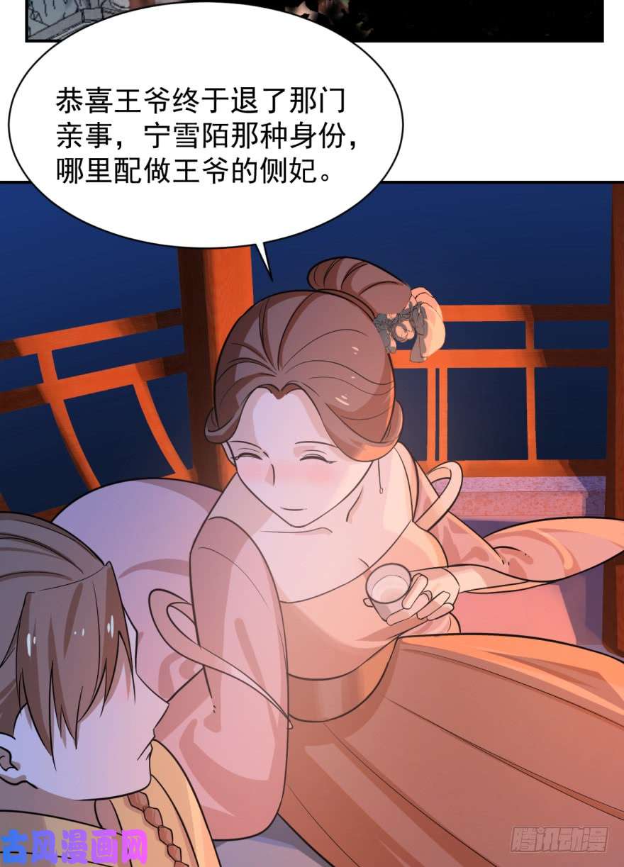 毒步天下：特工神医小兽妃07