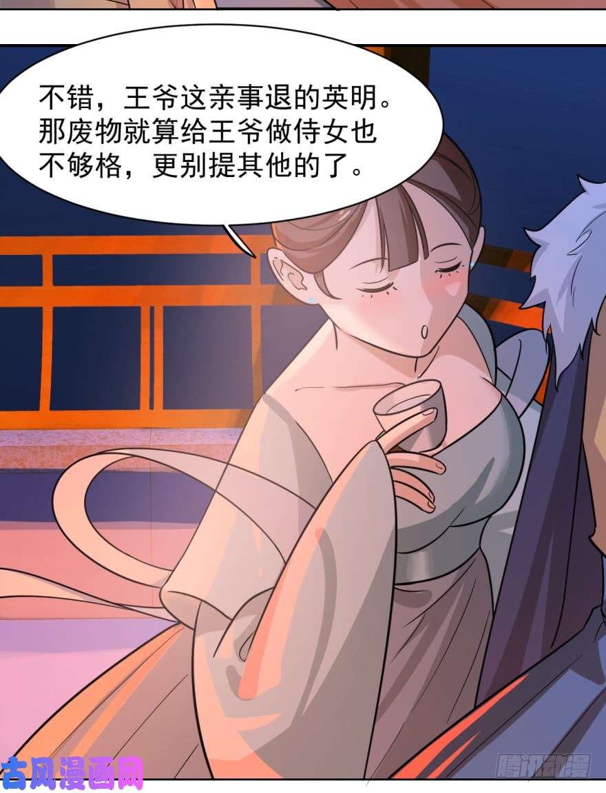 毒步天下：特工神医小兽妃07