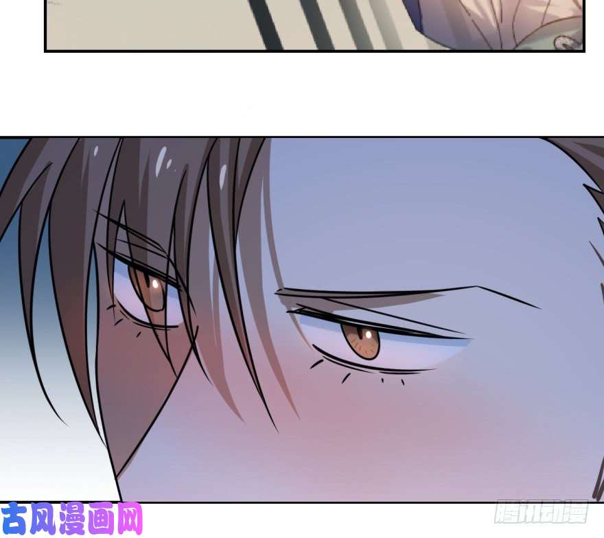 毒步天下：特工神医小兽妃07