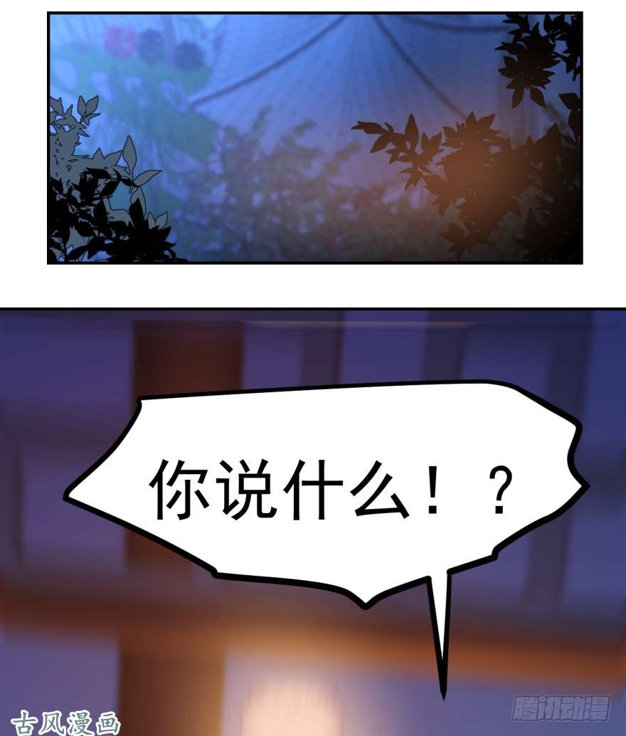 毒步天下：特工神医小兽妃08