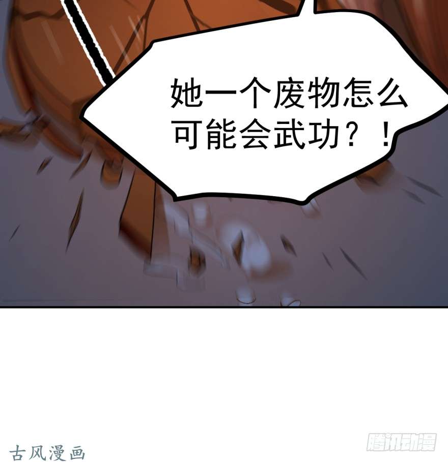 毒步天下：特工神医小兽妃08