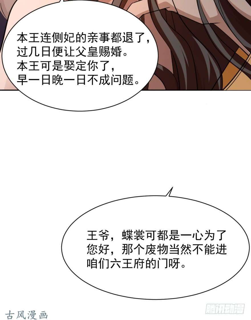 毒步天下：特工神医小兽妃08