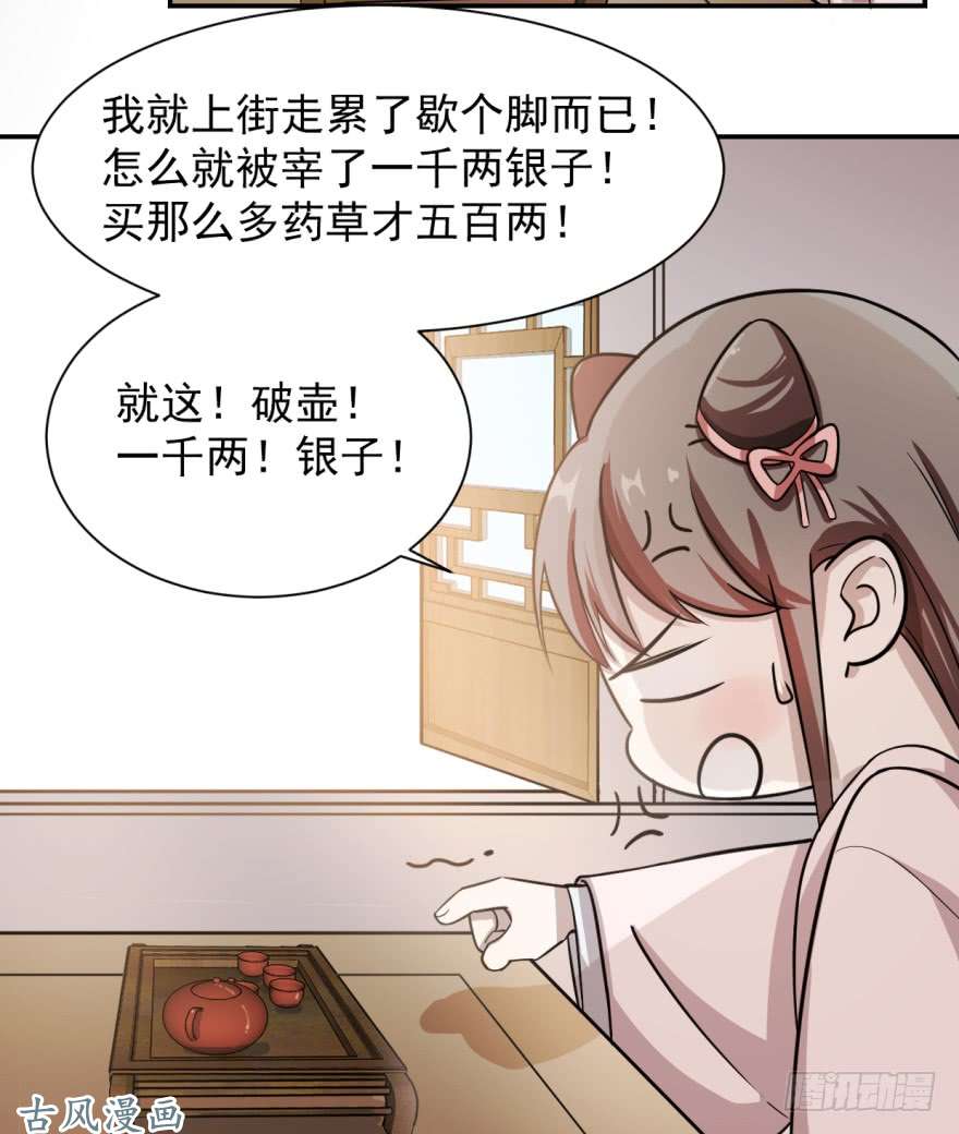 毒步天下：特工神医小兽妃09