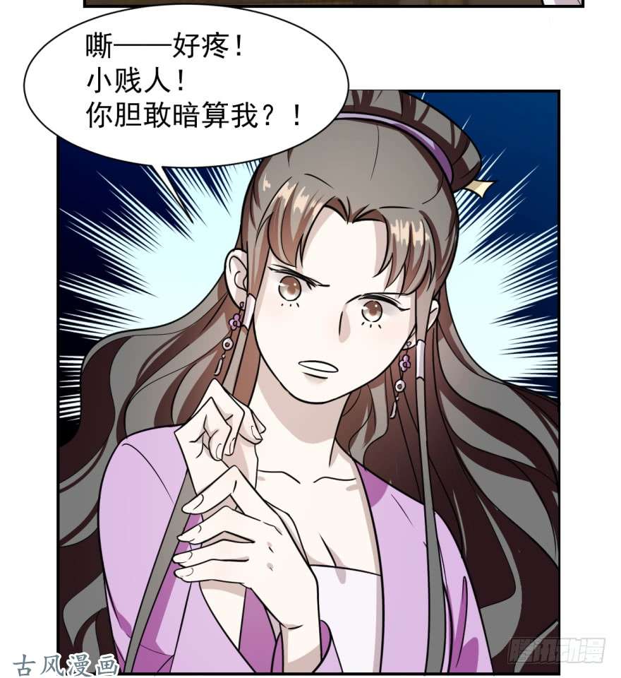 毒步天下：特工神医小兽妃09