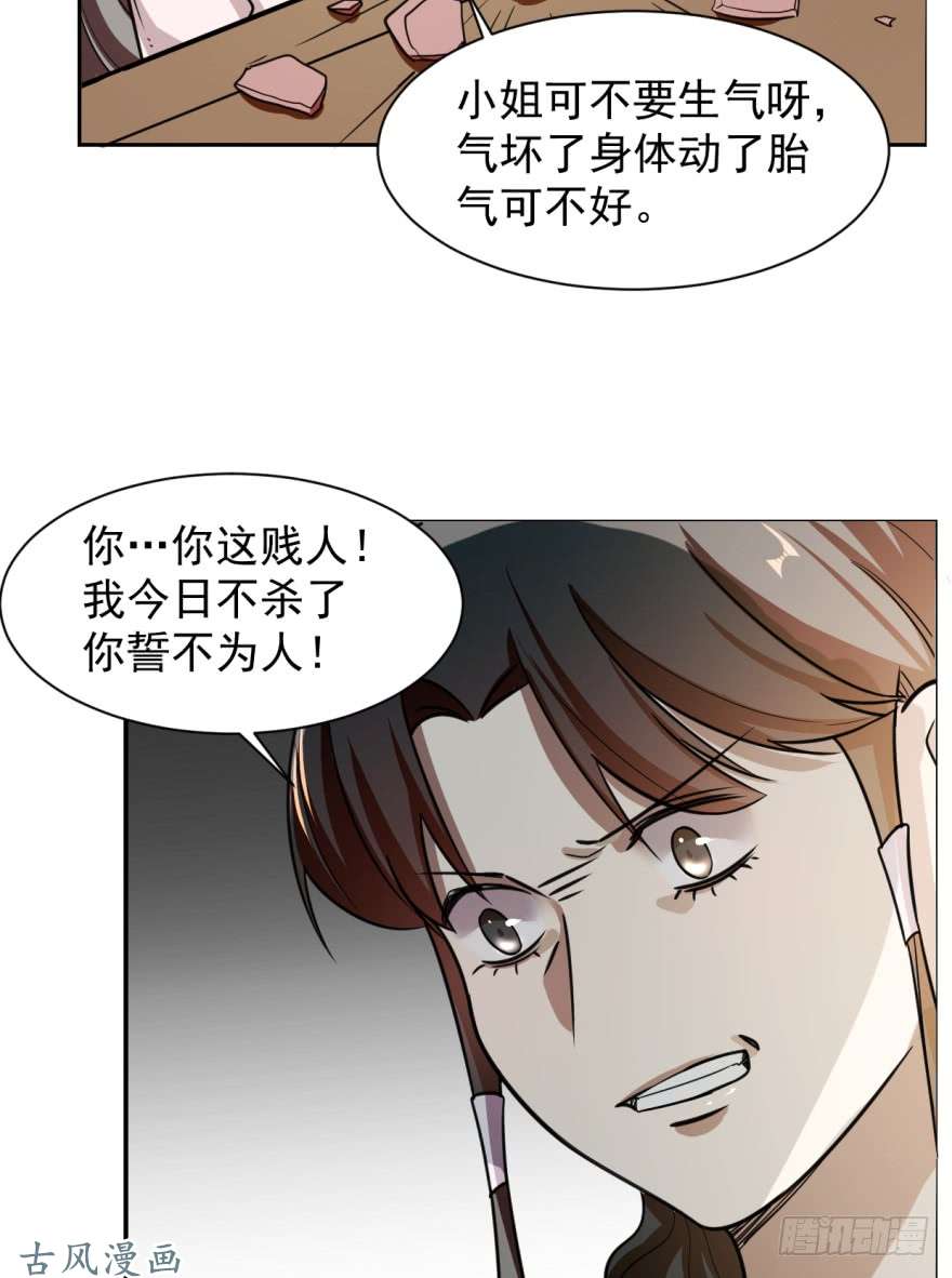 毒步天下：特工神医小兽妃09