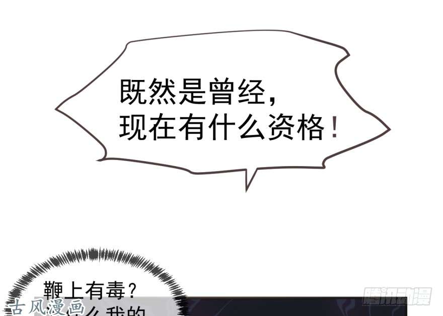 毒步天下：特工神医小兽妃10