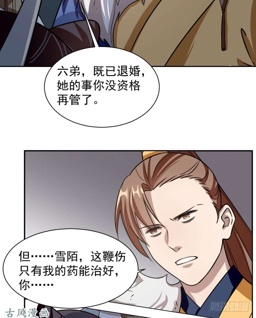 毒步天下：特工神医小兽妃10