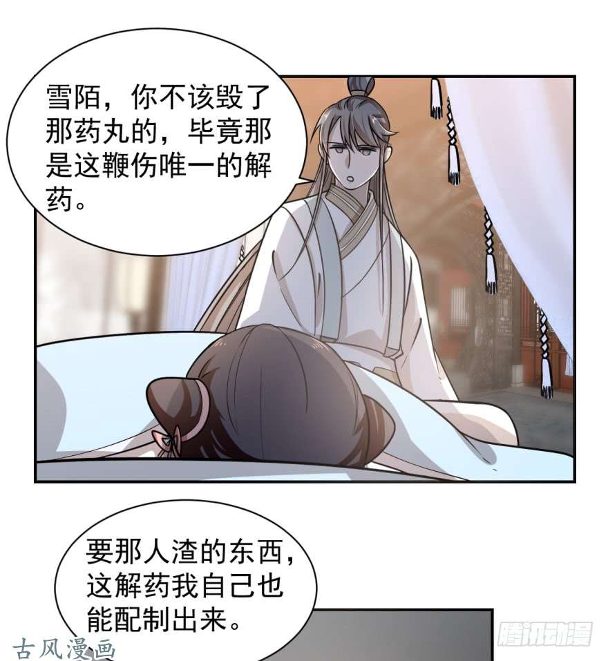 毒步天下：特工神医小兽妃11