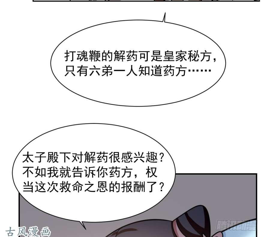 毒步天下：特工神医小兽妃11