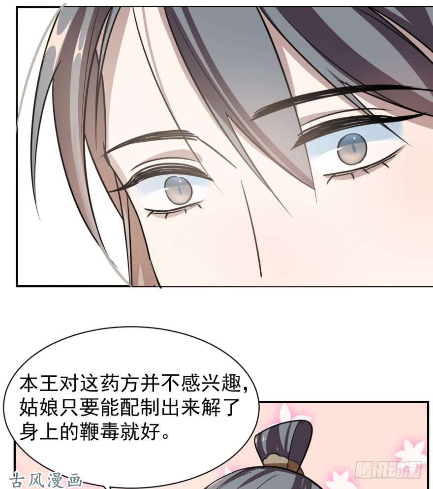 毒步天下：特工神医小兽妃11