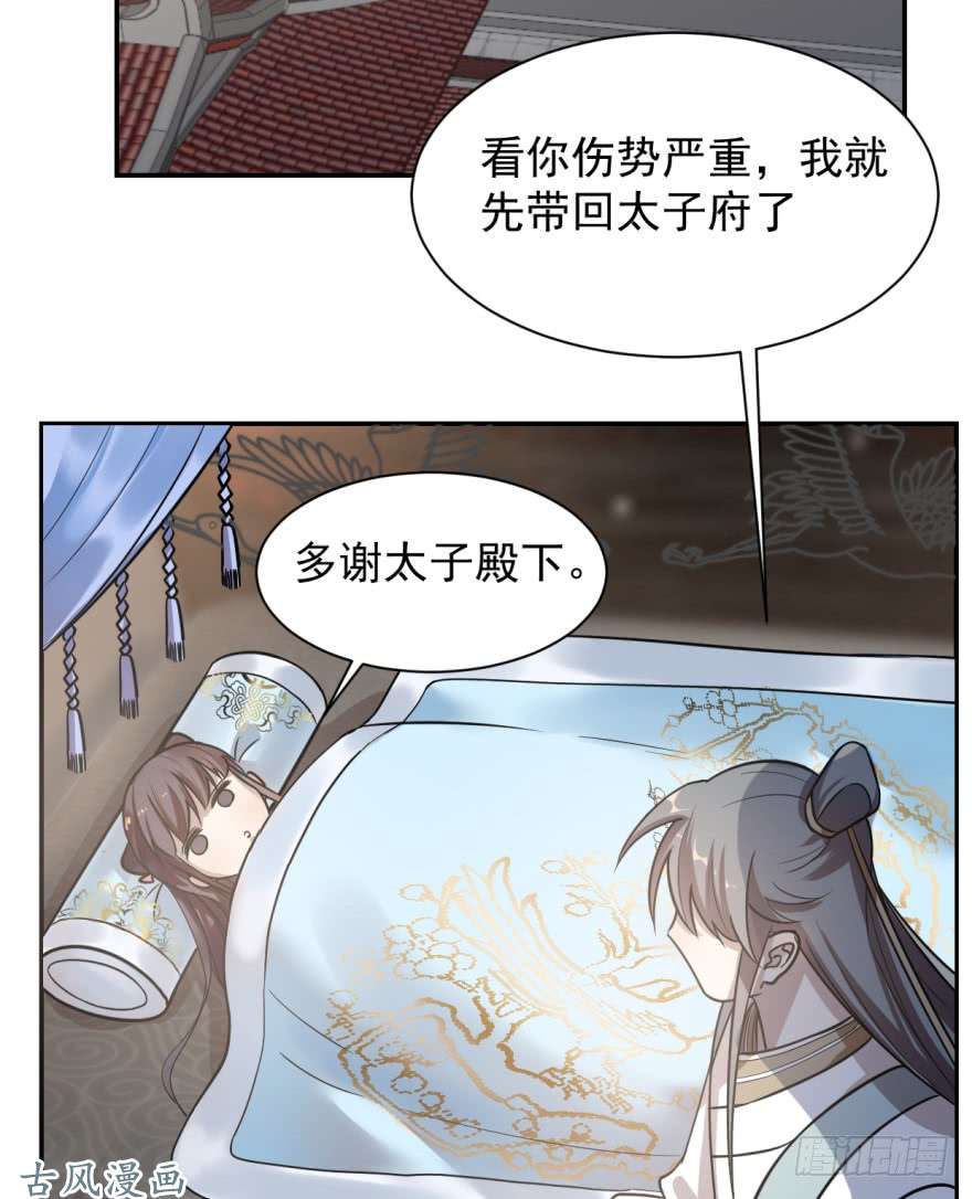 毒步天下：特工神医小兽妃11