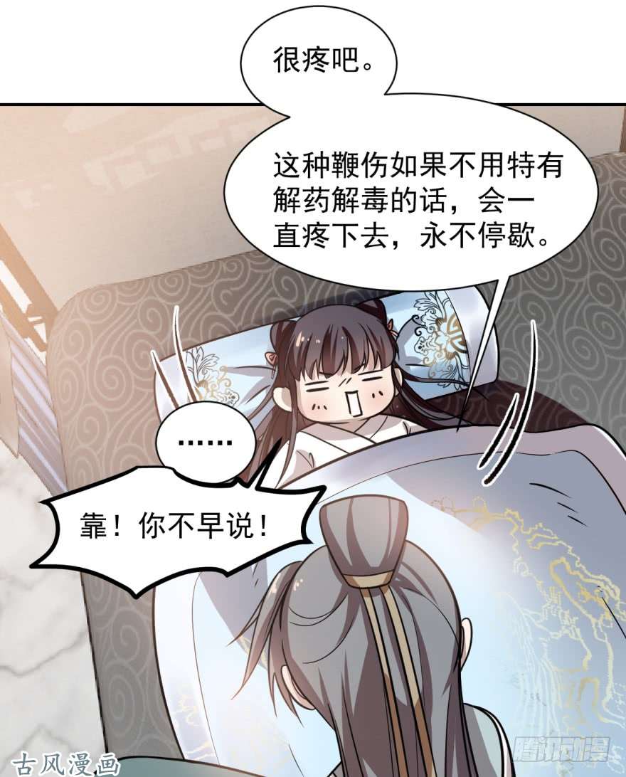 毒步天下：特工神医小兽妃11