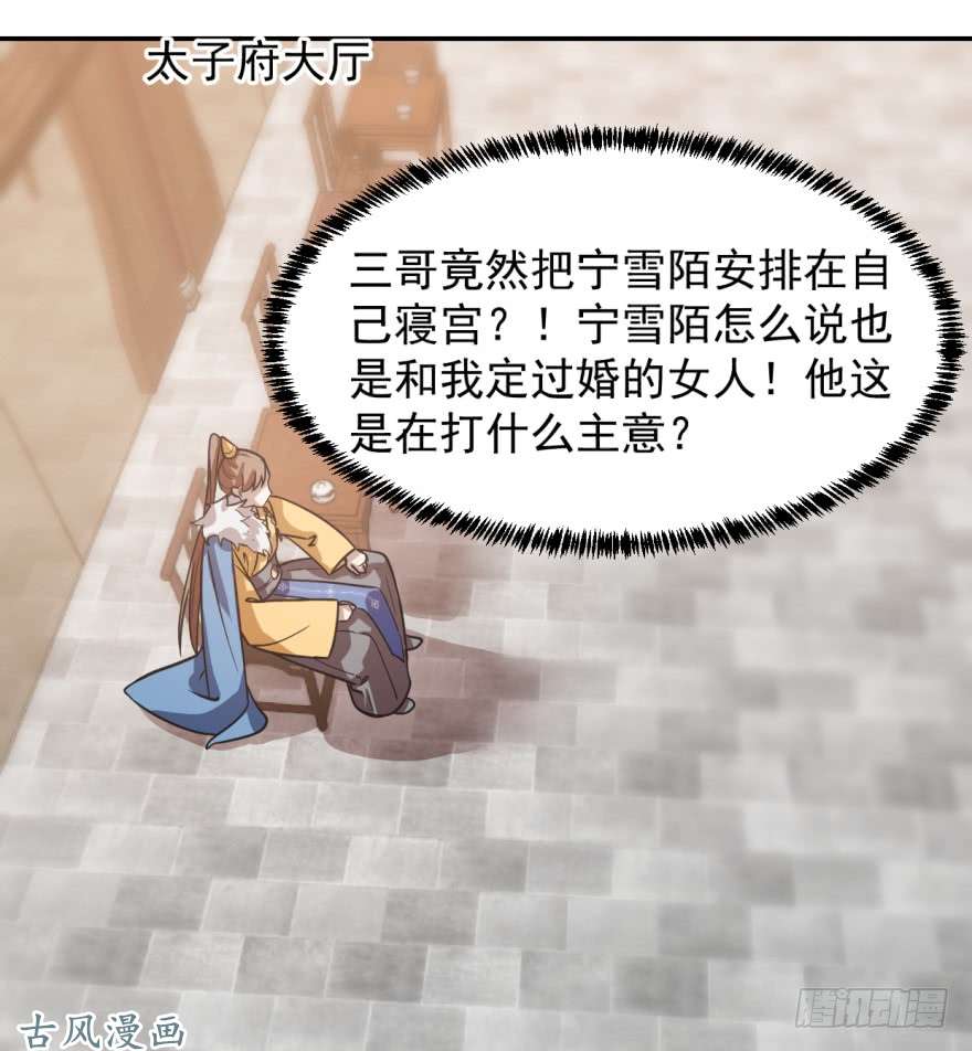 毒步天下：特工神医小兽妃11