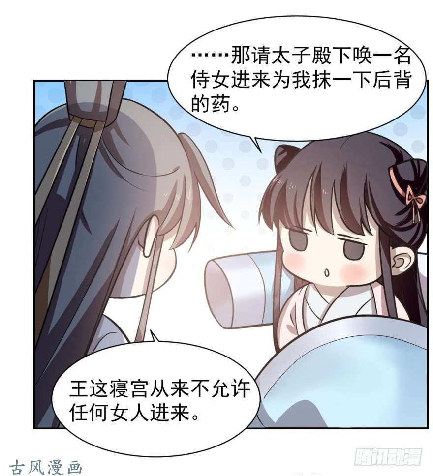 毒步天下：特工神医小兽妃11