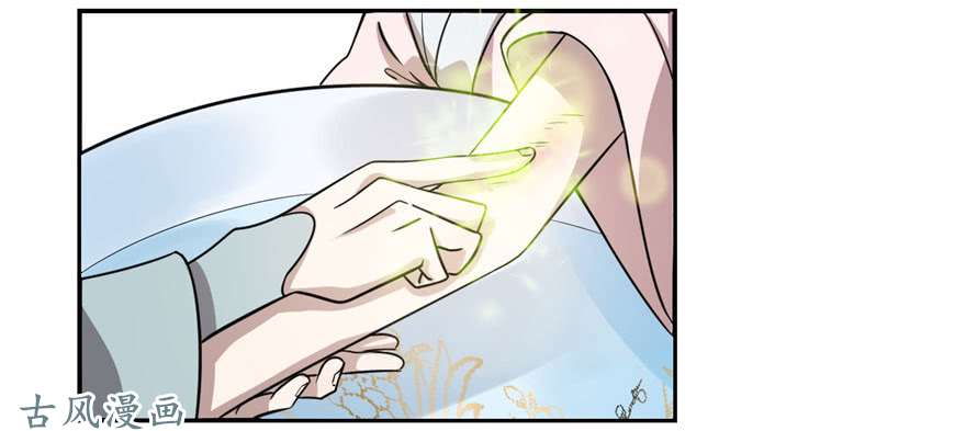 毒步天下：特工神医小兽妃12