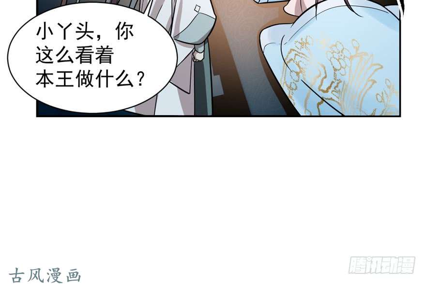 毒步天下：特工神医小兽妃12