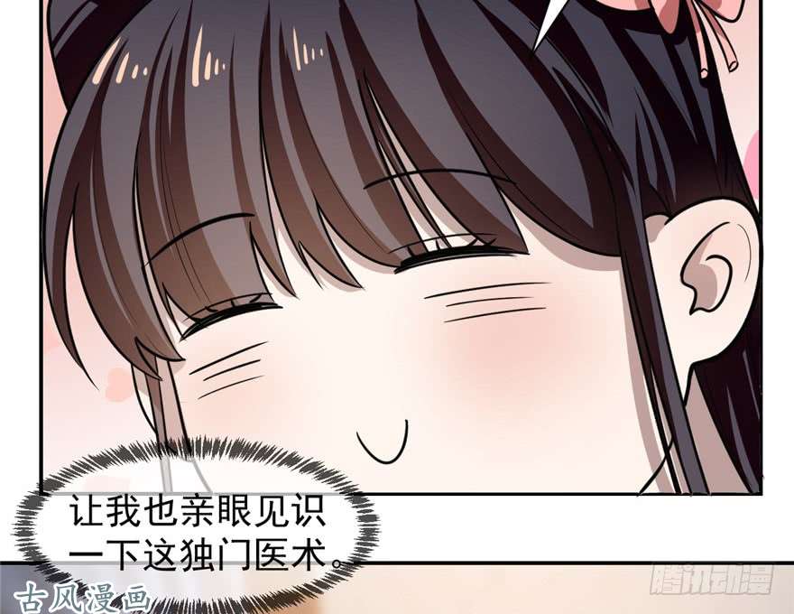 毒步天下：特工神医小兽妃12