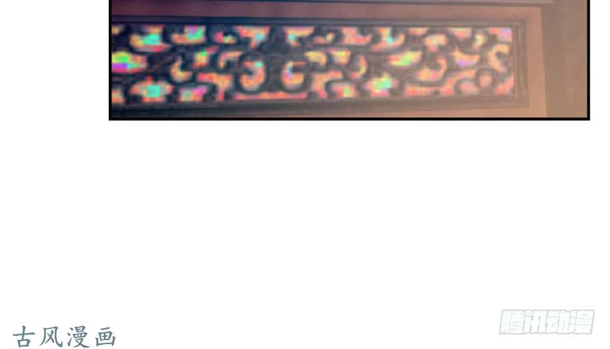 毒步天下：特工神医小兽妃13