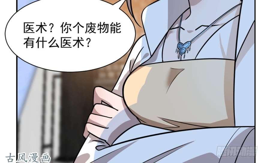 毒步天下：特工神医小兽妃13