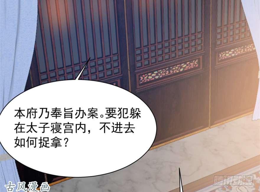 毒步天下：特工神医小兽妃13