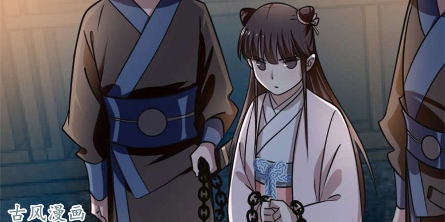 毒步天下：特工神医小兽妃13