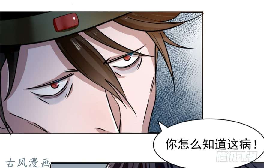 毒步天下：特工神医小兽妃13