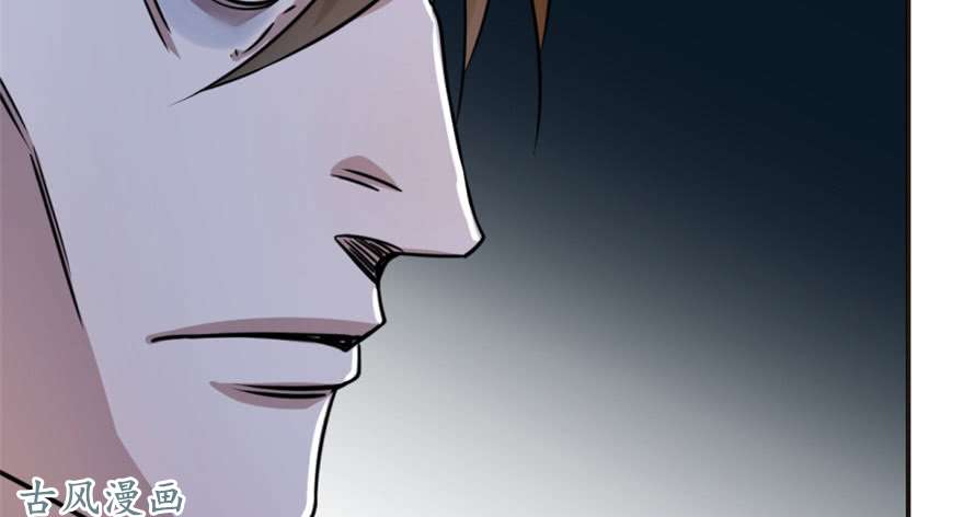 毒步天下：特工神医小兽妃13