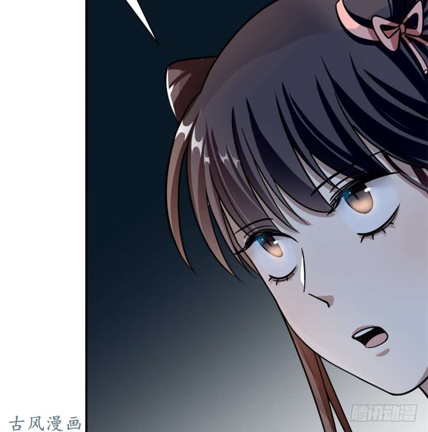 毒步天下：特工神医小兽妃13