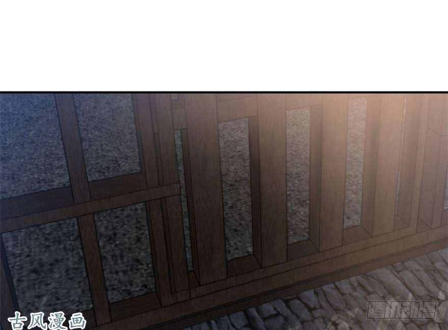 毒步天下：特工神医小兽妃13